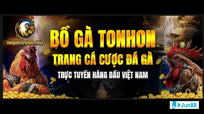 Hệ thống Livestream Chất lượng Cao Hệ thống Livestream Chất lượng Cao